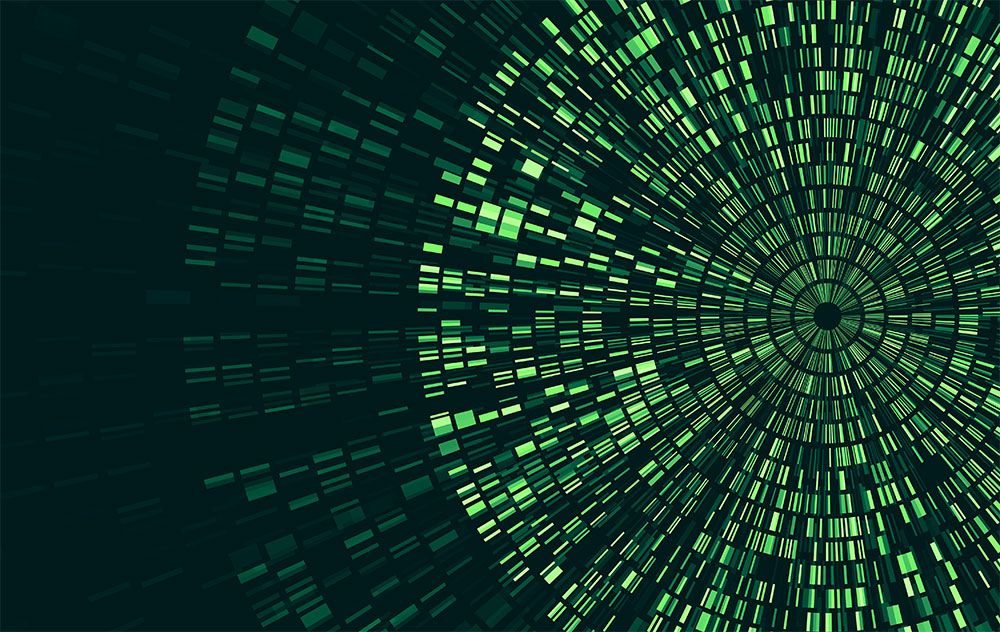 Introduction to Bioinformatics