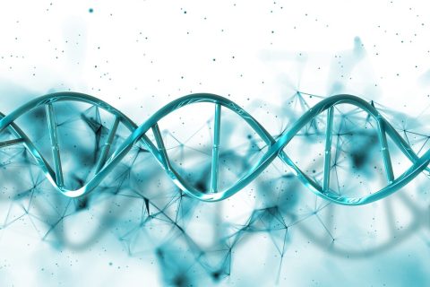 3d-plexus-dna-strand_1048-12511